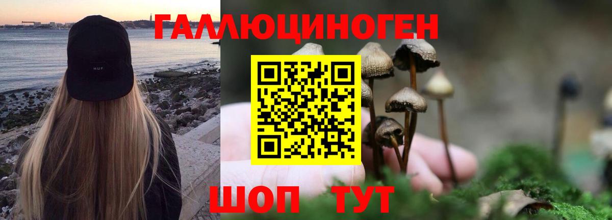 Галлюциногенные грибы Cubensis  Псилоцибиновые грибы Psilocybe  Вход с VPN  сколько стоит  Россошь 